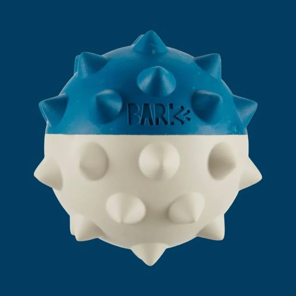 NEW Bark Box Hard Rubber Fetch Toy Size Small